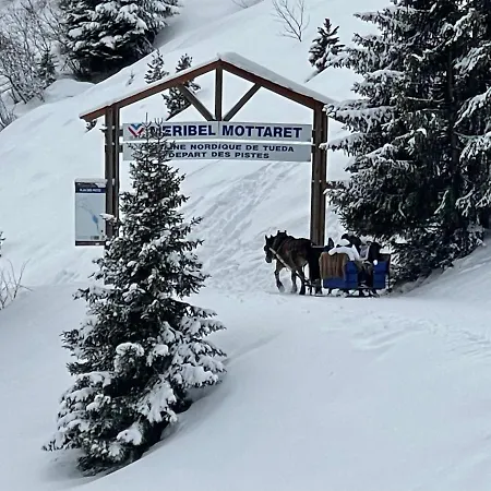 Apartment Studio Cabine Avec Emplacement De Choix A Meribel Mottaret Les Allues